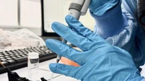 Autoritatea Naţională pentru Cercetare lansează competițiile din acest an dedicate cercetătorilor români din diaspora