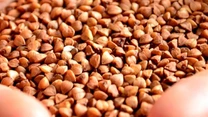 Banca de Resurse Genetice Vegetale: România are nevoie de o strategie naţională de producere a seminţelor