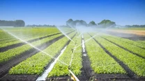 Comisia Europeană propune un acces rapid la unele fonduri din agricultură pentru sprijinirea fermierilor