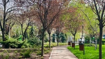 Două parcuri celebre din Bucureşti se transformă