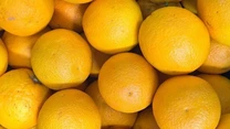 Cum ar trebui să arate lămâile și portocalele ca să merite să le cumpărăm din magazin. Declarație interesantă a șefului ANPC, nimeni nu s-ar fi gândit