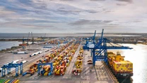 Compania DP World din EAU plantează „păduri subacvatice” pentru restaurarea costieră din zona Constanța South Container Terminal (VIDEO)