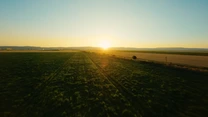 Gigantul PepsiCo schimbă modul în care fermierii români vor putea produce cartofii pentru Lay’s