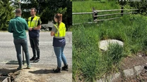 Autostrada Unirii A8: CNIR a predat încă un amplasament pe tronsonul montan. UMB a primit acces pe lotul Sărățeni – Joseni