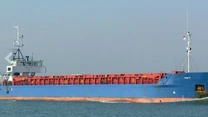 O navă cargo, lovită de un „proiectil necunoscut” în Strâmtoarea Ormuz (agenţia maritimă britanică)