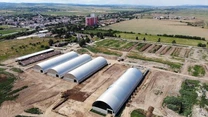 Efect de domino în agricultură: Încă trei firme din Grupul Șerban Holding cer insolvența din cauza unui credit de 70 de milioane de euro