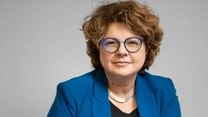 Pasiunea politică nu ține loc de viziune economică. Inovația este singurul model de creștere economică valid