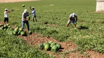 Criză pe piața forței de muncă din Grecia. Angajații străini părăsesc țara în număr mare
