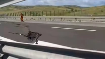 Surparea de pe Autostrada A10 Sebeș – Turda: CNAIR ar putea da în judecată Porr Construct pentru recuperarea banilor de reparații