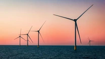 Cifrele care ne rușinează: Polonia, “țara cărbunelui”, produce deja energie eoliană în Marea Baltică, după ce a pus și fotovoltaice mai mult decât toată puterea instalată a României. La noi se vorbește despre eoliene în Marea Neagră de 20 de ani, rezultate zero