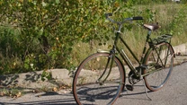 Brandul britanic Raleigh, cel mai mare producător de biciclete din lume, a intrat în insolvență