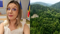 Diana Buzoianu: România a depăşit ţintele PNRR pentru păduri. Anunţ de la Ministerul Mediului despre zonele cu cele mai mari suprafeţe împădurite