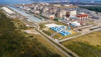 Meduzele au oprit trei reactoare ale unei centrale nucleare din Franţa