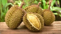 Vietnam – Fermierii înlocuiesc cafeaua cu durianul pentru a satisface cererea chineză