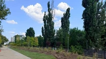 FOTO Cel mai lung parc liniar din Europa este în București: Faza 3, aproape de finalizare