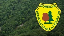 Romsilva – Ce s-a întâmplat cu cele 19 proiecte de investiţii de corectare a torenţilor, finanţate prin PNRR