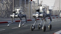 China – Acţiunile producătorului de roboţi Unitree au crescut cu 600% la debutul cotaţiilor la bursa de la Shanghai