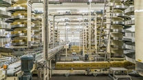 O nouă fabrică în România: Olandezii de la AmbaFlex se extind la Jucu cu investiții de 30 de milioane de euro