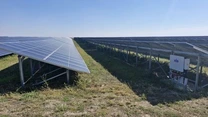 Cel mai mare parc fotovoltaic din România, oficial în operare. Israelienii de la Nofar au inaugurat, dintr-un foc, parcurile Iepurești și Ghimpați, peste 300 MW