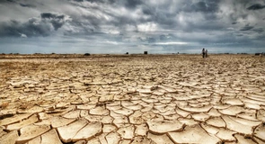 Aproximativ 268.000 de hectare afectate de secetă, dintre care 55% cu grâu