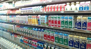 Piața lactatelor își revine cu materie primă de import. Cantitățile cumpărate de procesatori au crescut cu 34% în primele două luni