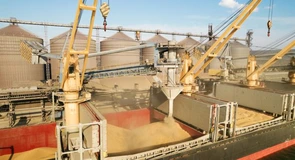 Presiune pe prețurile cerealelor în portul Constanța. Jucătorii din piață devin tentați să încarce în porturile ucrainene chiar și în lipsa coridorului pentru cereale de pe Marea Neagră