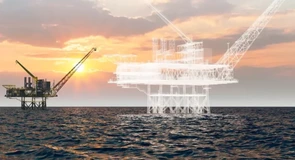 O nouă victorie în instanță pentru Neptun Deep, după ce a fost atacat de asociația Bankwatch