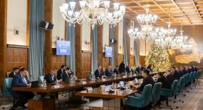 Amcham, îngrijorată de întârzierea formării unui Guvern stabil