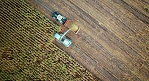 România este al patrulea contributor la producția de reziduuri agricole din UE. Ce se face cu ele