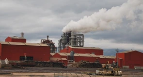 Kronospan are undă verde de la Consiliul Concurenţei pentru preluarea  ZG Timber Sebes SRL