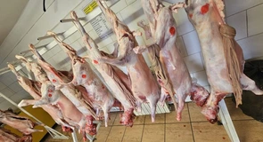 Sănătatea publică și siguranța alimentară sunt priorități strategice ale ANSVSA și nu există loc pentru compromisuri – Alexandru Bociu, președinte ANSVSA