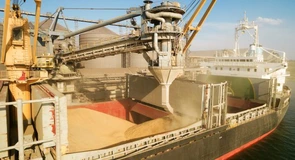 România urcă pe prima poziție în clasamentul celor mai mari exportatori europeni de cereale. Am depășit Franța