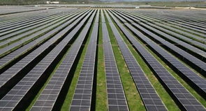 Eurowind Energy a inaugurat parcul Fotovoltaic Teiuș, de 60,2 MW, cel mai mare proiect co-finanțat prin PNRR. Va pune și o baterie de 116 MWh