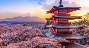 Tinerii români au dat buzna în Japonia pentru cireșii înfloriți- Studiu Revolut