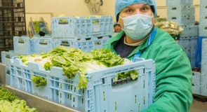 Polonezii de la Green Factory anunță achiziția Eisberg România și Eisberg Ungaria