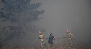 Bulgaria se confruntă cu peste 230 de incendii de vegetaţie