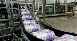 Producătorul de hârtie Pehart Grup a fost cumpărat integral de un fond de private equity din țările baltice. IFC, BT și ING au finanțat cu 150 de milioane de euro tranzacția