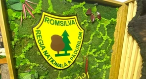 Cei mai mari angajatori din silvicultură şi exploatarea pădurilor. Romsilva conduce clasamentul