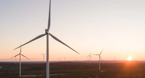 Nou parc eolian autorizat. Israelienii de la Econergy pun 35 MW în Tulcea, prima lor investiție în eolian din România
