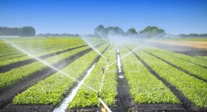 Utilizatorii de apă pentru irigații vor primi banii pentru energia consumată în 2025 până la 31 mai. Proiect