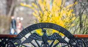 Bucureștiul este de 5,5 ori peste Cluj în piața locală a startup-urilor, evaluată la aproape 10 miliarde dolari