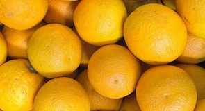 Cum ar trebui să arate lămâile și portocalele ca să merite să le cumpărăm din magazin. Declarație interesantă a șefului ANPC, nimeni nu s-ar fi gândit