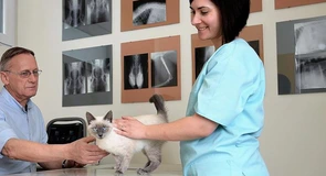 PartnerVet se extinde în Brașov prin preluarea clinicii veterinare Lempeș