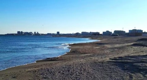 Diana Buzoianu: Participare record la licitația pentru închirierea plajelor din Năvodari. Peste 300 de oferte depuse pentru 58 de subsectoare