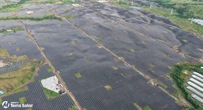 Cel mai mare parc fotovoltaic cu baterii din lume a început producția de energie