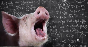 Guvernul taie 20% din ajutoarele de stat acordate crescătorilor de animale