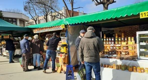 Apicultorii români cer măsuri urgente de sprijinire a sectorului și avertizează asupra creșterii importurilor de miere din statele Mercosur