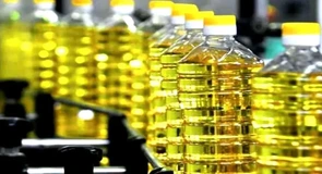 România produce ulei de floarea-soarelui din semințe argentiniene. Suntem cel mai mare importator european în acest an agricol