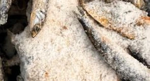 Controale ANPC la peste 1.300 de operatori economici în perioada 20 – 24 aprilie. Inspectorii au dat 869 de amenzi