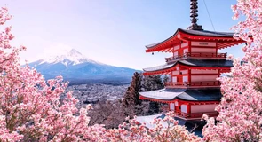 Colaborare România-Japonia. CCIB anunţă discuţii pentru dezvoltarea de proiecte de afaceri între companiile din România şi Japonia